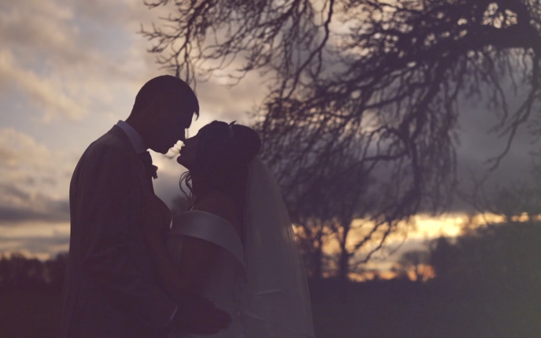 Danielle + Nimesh, Iscoyd Park Wedding Video